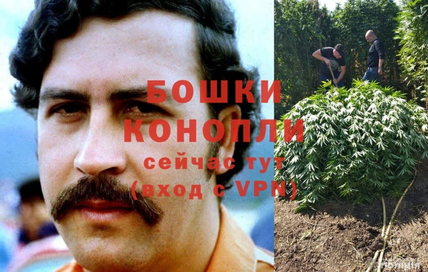гидра Балабаново