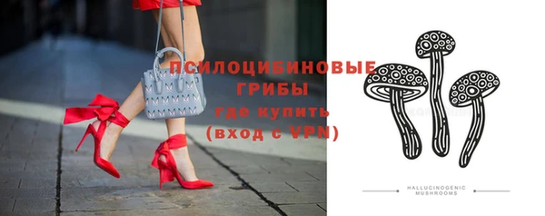шишки Аркадак
