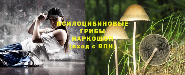 тгк Арсеньев