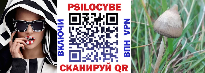 где продают   Верхняя Салда  Псилоцибиновые грибы Magic Shrooms 